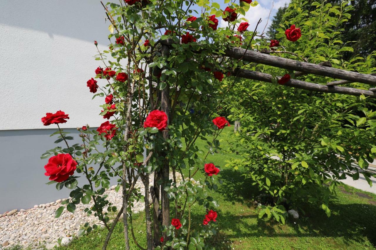 Adventure Cottage With Pool And Big Garden Μπλεντ Εξωτερικό φωτογραφία